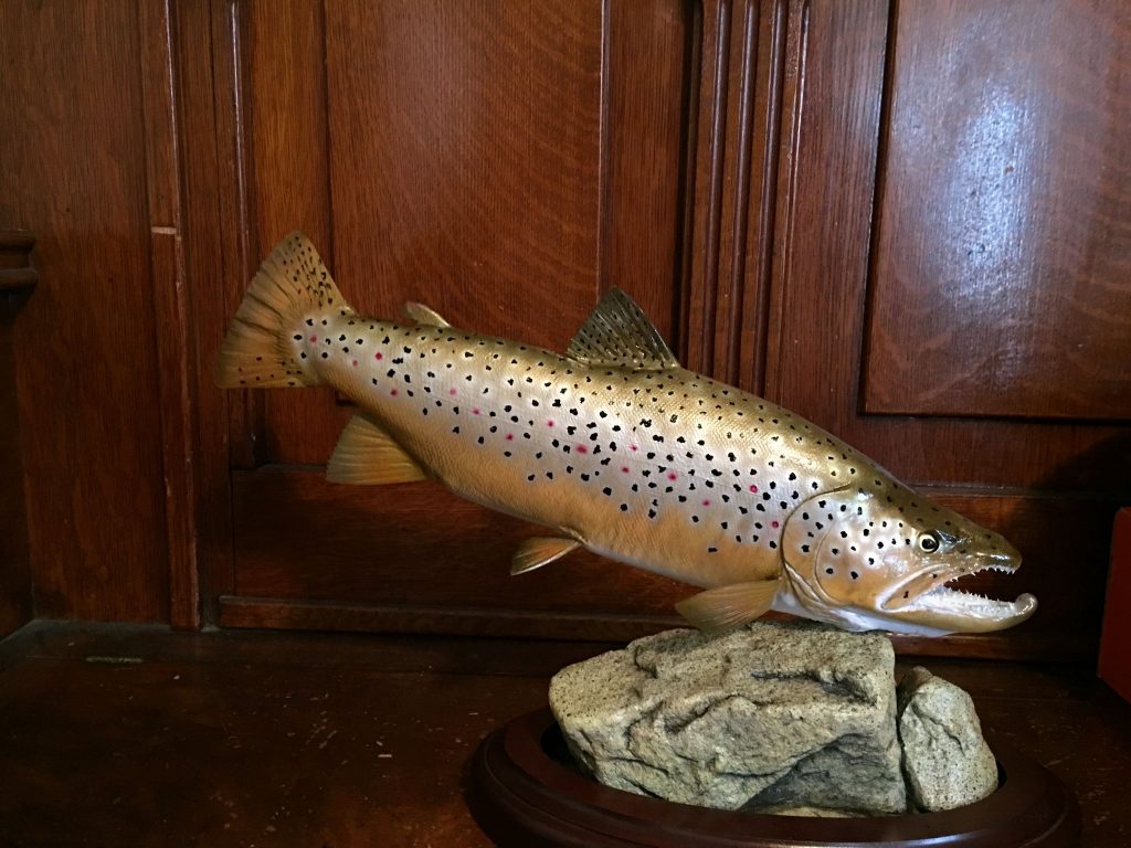 Mount of a trout
